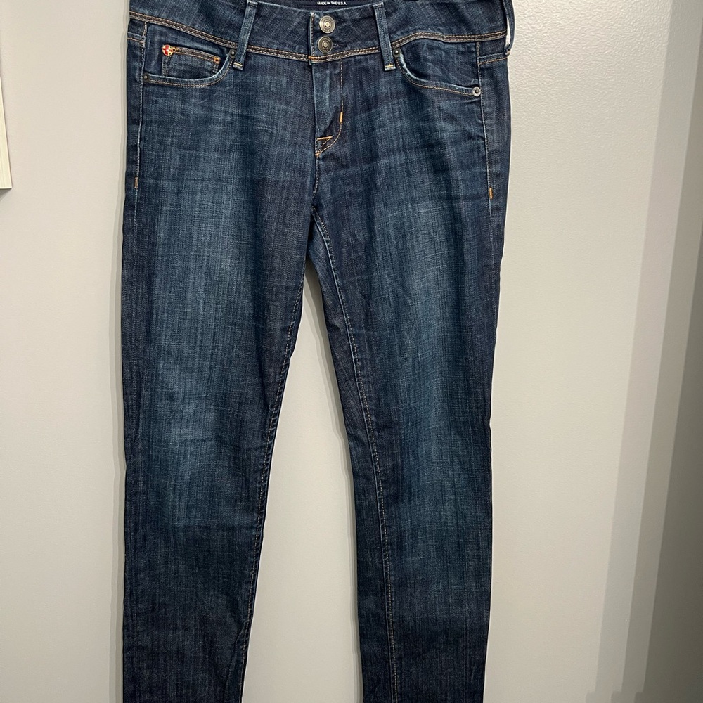Hudson Jeans Blue Skinny Denim